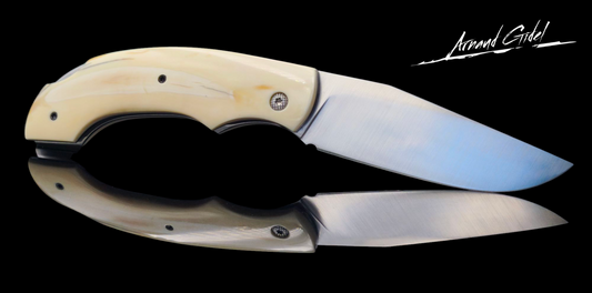 CORSAIRE INOX RWL34 / PHACO