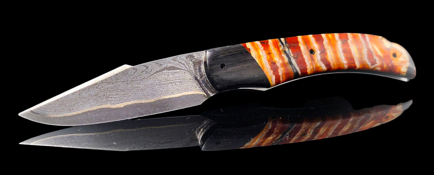 BRIERE DAMAS CARBONE / MORTA ET MOLAIRE DE MAMMOUTH