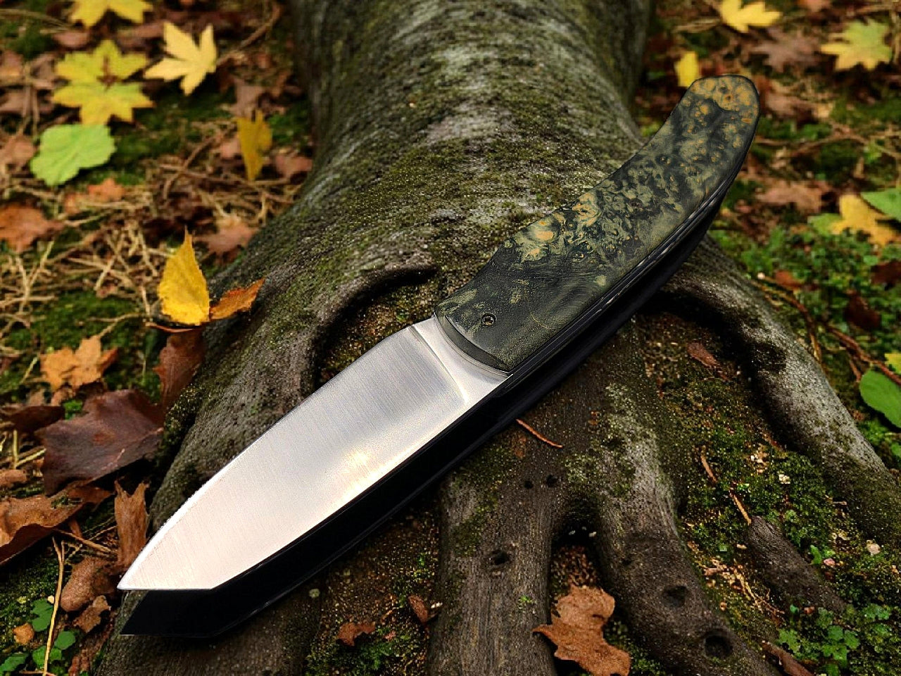 LEVANT INOX MA5 / LOUPE D'ERABLE