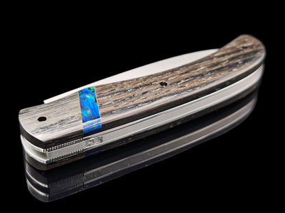 BRIERE INOX MA5 / MORTA ET ABALONE (ORMEAU)