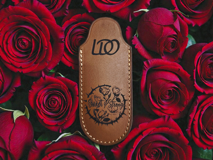 BRIERE CT INOX MA5 / PHACO ET ERABLE