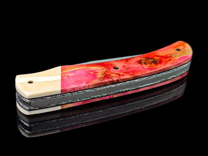 BRIERE CT INOX MA5 / PHACO ET ERABLE