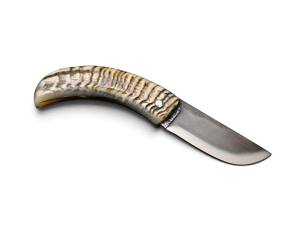 BREIZH CURNICCIULU XC75 / BELIER