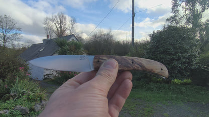 LE HÊTRE ÉCHAUFFÉ